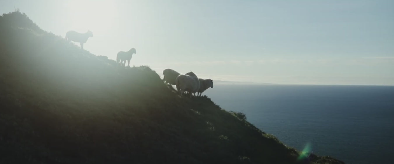 kapeka production process in new zealand